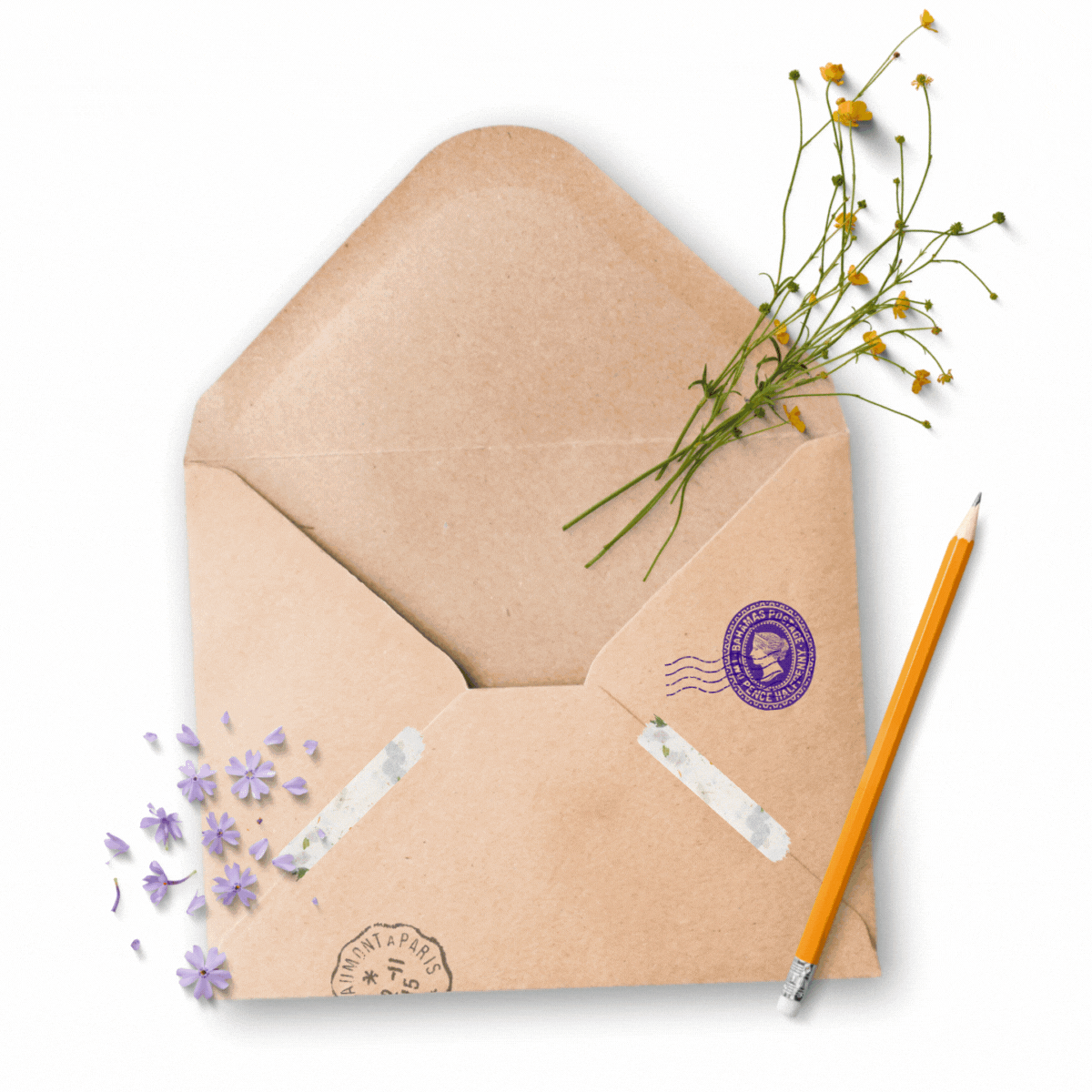 Newsletter GIF white bg
