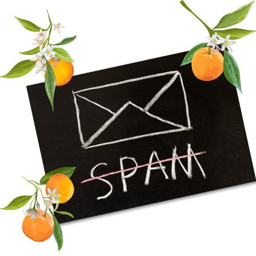 Untitled design-4 Untitled design-4